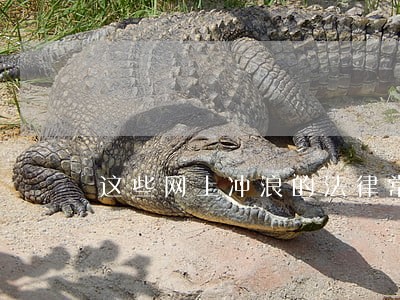 这些网上冲浪的法律常识 这些网上冲浪的法律常识