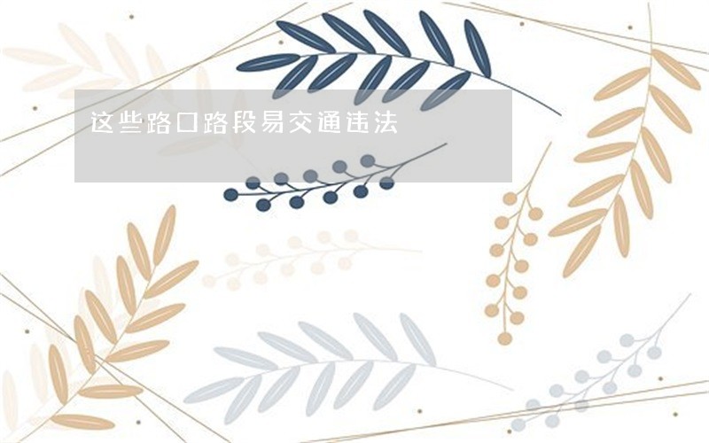 这些路口路段易交通违法 这些路口路段易交通违法