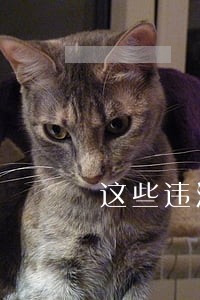 这些违法记分可以申请撤销 这些违法记分可以申请撤销