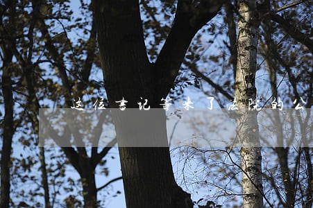 这位书记等来了法院的公开道歉 这位书记等来了法院的公开道歉