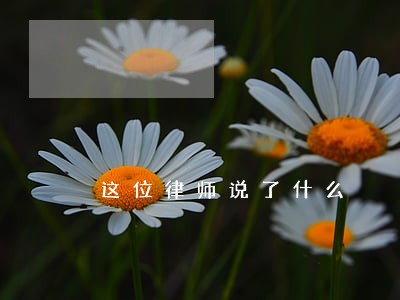 这位律师说了什么 这位律师说了什么