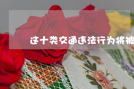 这十类交通违法行为将被严查 这十类交通违法行为将被严查