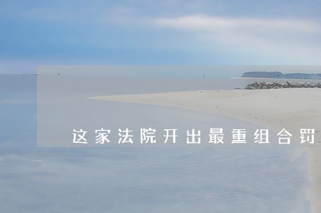 这家法院开出最重组合罚单 这家法院开出最重组合罚单