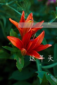 这年头打屁股都违法了 这年头打屁股都违法了