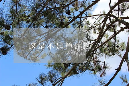 这是不是算违法 这是不是算违法