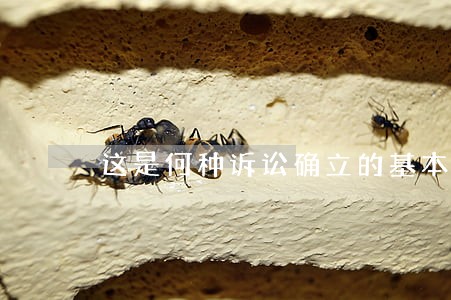 这是何种诉讼确立的基本制度