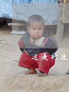 这是行政法的