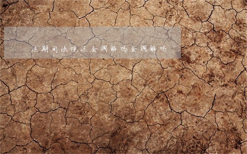 这期间法院还会调解吗会调解吗 这期间法院还会调解吗会调解吗