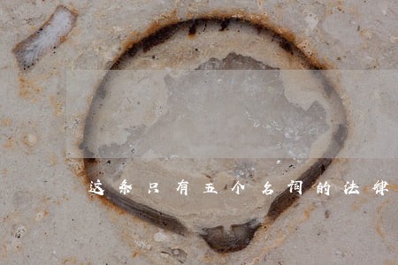 这条只有五个名词的法律