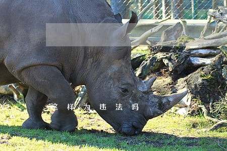 这样为违法吗