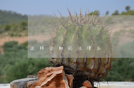 这样会触犯法律么 这样会触犯法律么