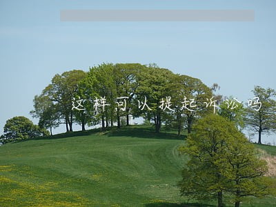 这样可以提起诉讼吗