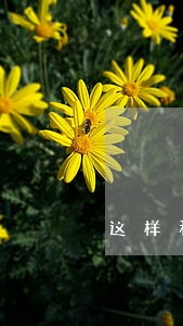 这样和法律法规嘛 这样和法律法规嘛
