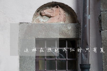 这样在提起诉讼时只有复印件 这样在提起诉讼时只有复印件