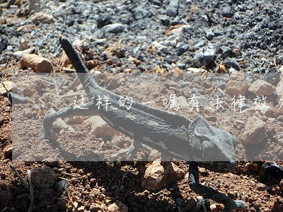 这样的一嘱有法律效力吗