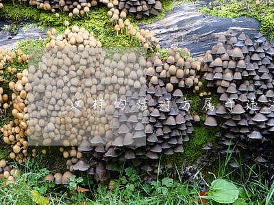 这样的话对方属于违法么 这样的话对方属于违法么