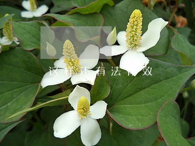 这样还有法律效 这样还有法律效