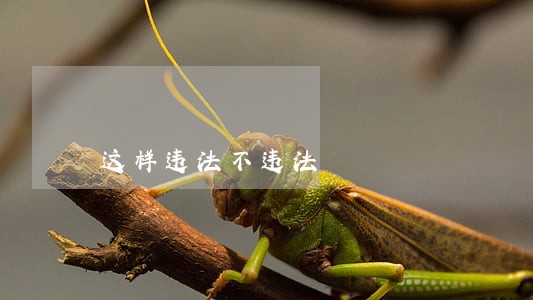 这样违法不违法