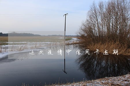 这次疫情中信用卡逾期 这次疫情中信用卡逾期