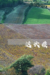 这次疫情农商银行逾期怎么算 这次疫情农商银行逾期怎么算