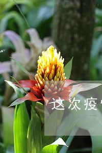这次疫情有多少人贷款逾期r 这次疫情有多少人贷款逾期r