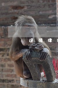 这法律也没有明文规定 这法律也没有明文规定