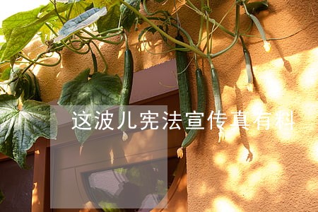 这波儿宪法宣传真有料 这波儿宪法宣传真有料