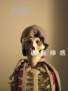 这痞帅痞帅的律师 这痞帅痞帅的律师