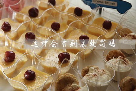 这种会有刑法处罚吗 这种会有刑法处罚吗