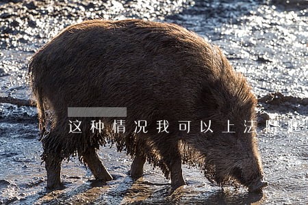 这种情况我可以上法院起诉吗 这种情况我可以上法院起诉吗