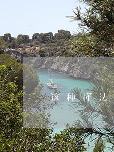 这种懂法律的高利贷