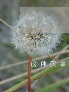 这种民事行为法院支持她吗 这种民事行为法院支持她吗
