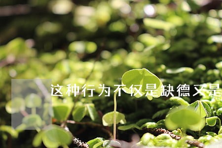 这种行为不仅是缺德又是违法 这种行为不仅是缺德又是违法