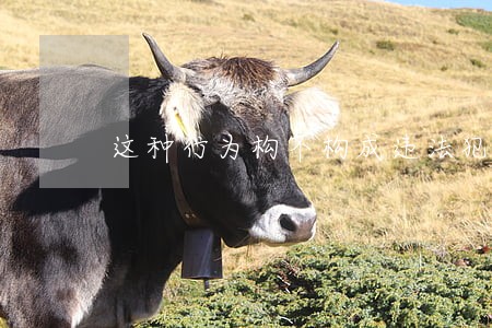 这种行为构不构成违法犯罪 这种行为构不构成违法犯罪