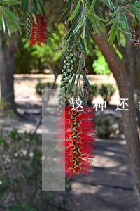 这种还会不会被法院起诉 这种还会不会被法院起诉