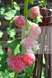 这算不算法院透露出去信息
