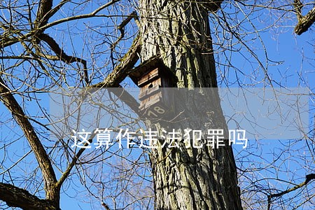 这算作违法犯罪吗 这算作违法犯罪吗