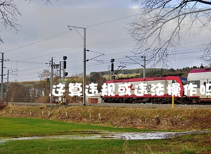 这算违规或违法操作吗 这算违规或违法操作吗