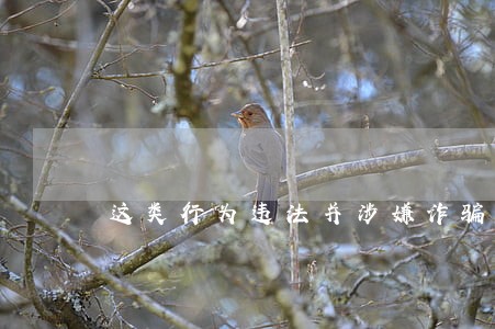 这类行为违法并涉嫌诈骗 这类行为违法并涉嫌诈骗