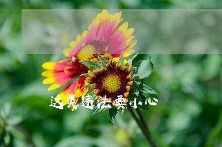 这类违法要小心 这类违法要小心
