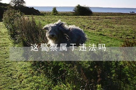 这警察属于违法吗 这警察属于违法吗