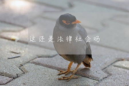 这还是法律社会吗 这还是法律社会吗
