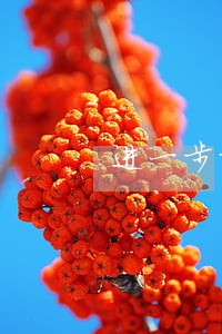 进一步加大逾期信用卡催收力度