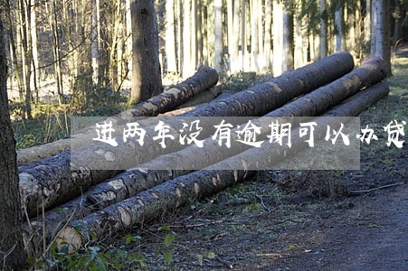 进两年没有逾期可以办贷款吗 进两年没有逾期可以办贷款吗