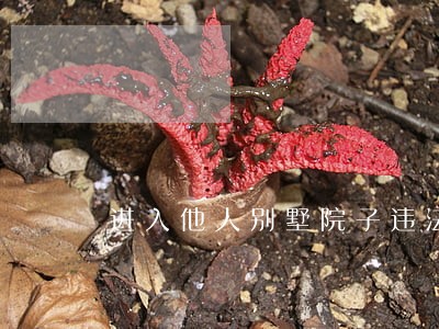 进入他人别墅院子违法吗 进入他人别墅院子违法吗