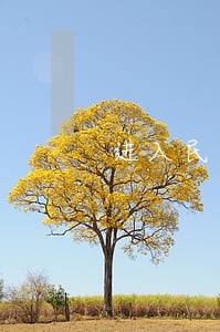 进入民宅几个小时违法 进入民宅几个小时违法