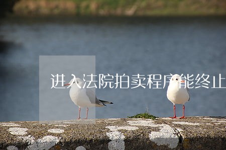 进入法院拍卖程序能终止吗 进入法院拍卖程序能终止吗