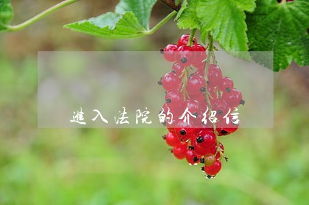 进入法院的介绍信 进入法院的介绍信