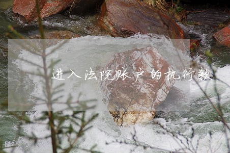 进入法院账户的执行款 进入法院账户的执行款