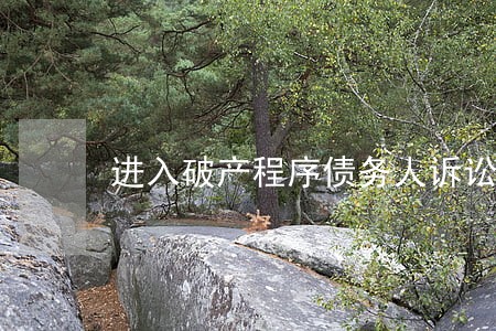 进入破产程序债务人诉讼 进入破产程序债务人诉讼